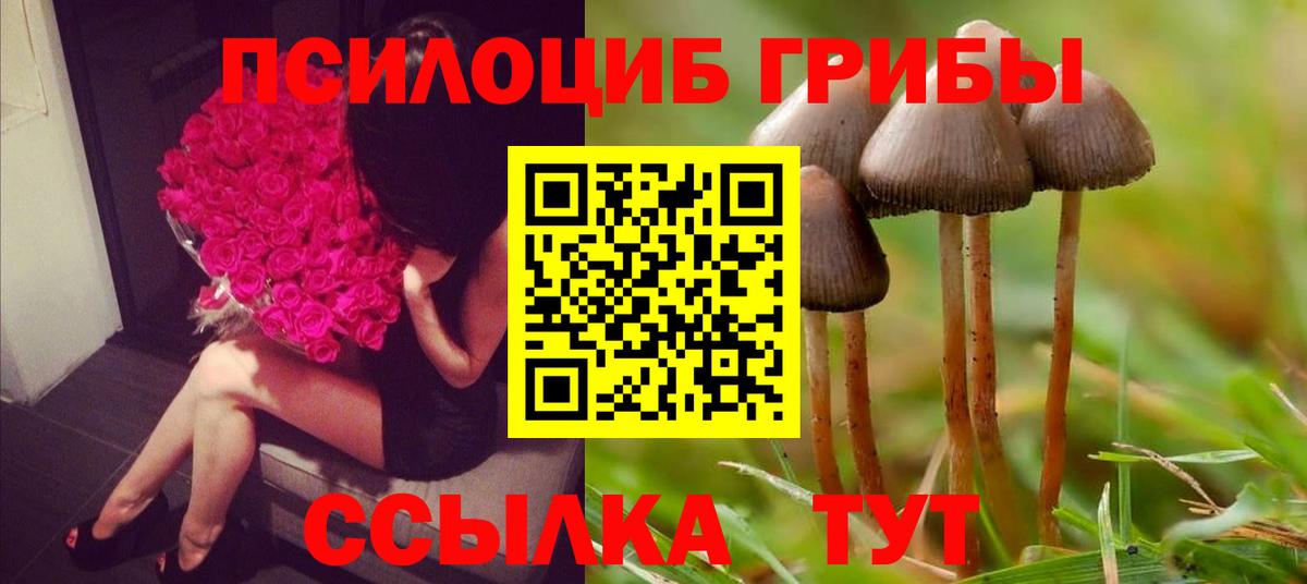 Псилоцибиновые грибы MAGIC MUSHROOMS  Псилоцибиновые грибы прущие грибы  Вход с VPN  Мичуринск 